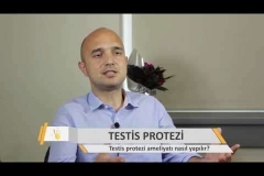 Testis Protezi