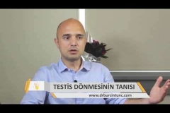 Testis Dönmesi Tanısı | Belirtileri