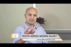 Testis Ağrısı Neden Olur