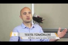 Testis Tümörü