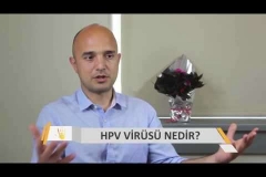 HPV Virüsü Nedir?