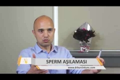 Sperm Aşılaması